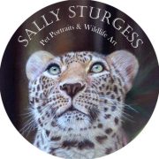 Sally Sturgess Pet Portraits UK